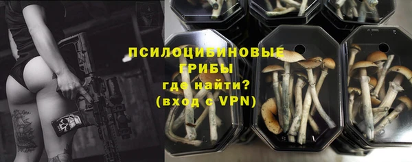 ешки Краснотурьинск