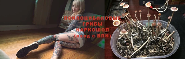 шишки Краснослободск