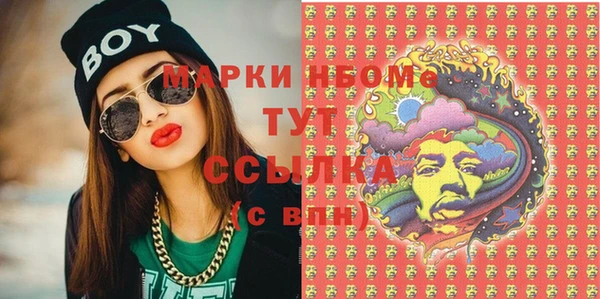 шишки Краснослободск