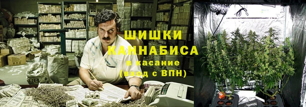 шишки Краснослободск