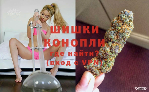 прущие крисы Братск