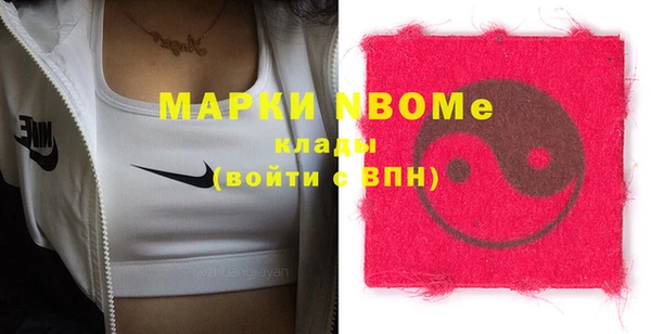 шишки Краснослободск