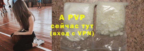 твердый Великий Новгород