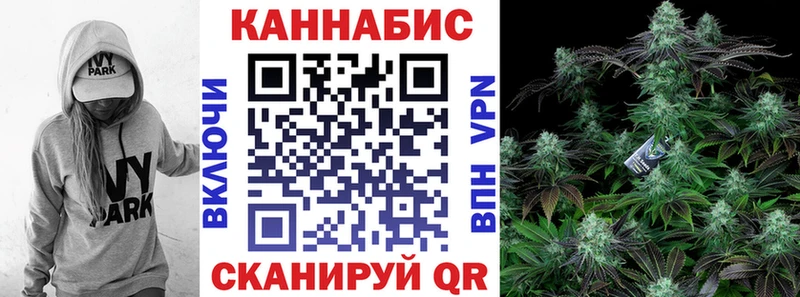 закладка  Чебаркуль  мега как зайти  Канабис SATIVA & INDICA 